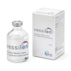 Epitech Group Vessilen...