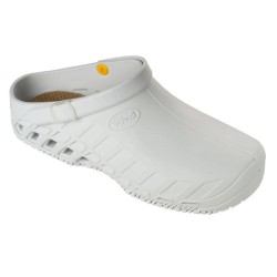 Dr. Scholl's Div. Footwear...