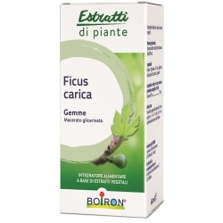 Boiron Ficus Carica Gemme...