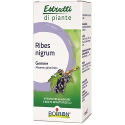 Boiron Ribes Nigrum...