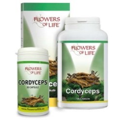 4ever Young Cordyceps 100...