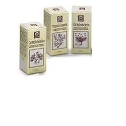 Ecol Echinacea Estratto...