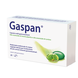 Schwabe Pharma Gaspan 28...