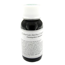 Labor Villa Stoddard Lvs...