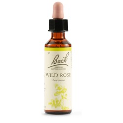 Schwabe Pharma Wild Rose...