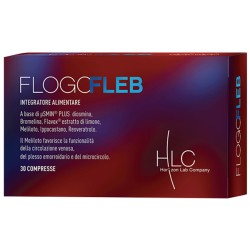Horizon Lab Company Flogo...