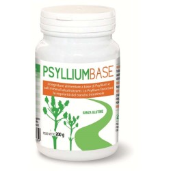 A.v.d. Reform Psyllium Base...