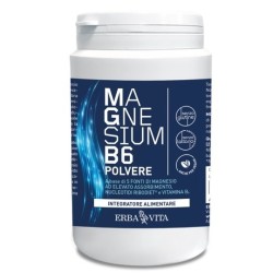 Erba Vita Magnesium B6...