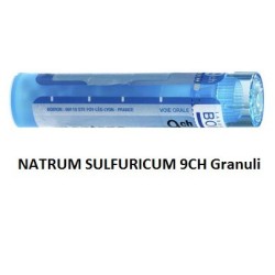 Boiron Natrum Sulf Boi 9ch...