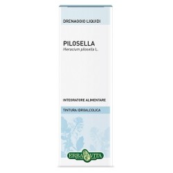 Erba Vita Pilosella...