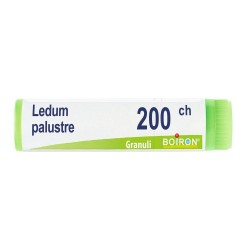 Boiron Ledum Palustre Boi...
