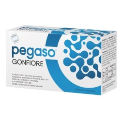 Schwabe Pharma Pegaso...