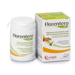 Candioli Ist. Profil. E...