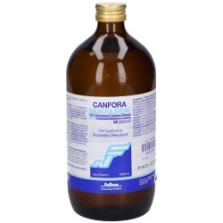 New Fa. Dem. Canfora...