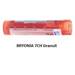 Boiron Bryonia 7ch 80gr 4g