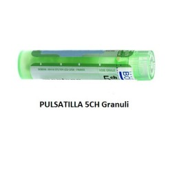 Boiron Pulsatilla 5ch 80gr 4g