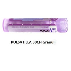 Boiron Pulsatilla 30ch 80gr 4g