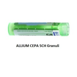 Boiron Allium Cepa 5ch 80gr 4g