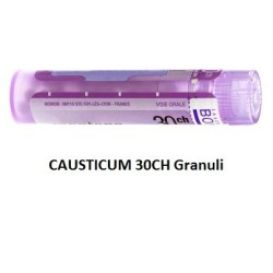 Boiron Causticum 30ch 80gr 4g