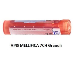 APIS MELLIFICA 7CH GR