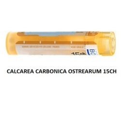 CALCAREA CARB OST 15CH GR