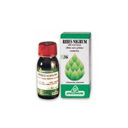 GEMMOSOL 36 RIBES NERO 100ML