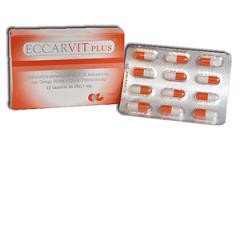 Ca. Di. Group Eccarvit Plus...