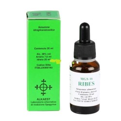 Alkaest Di Luigi Vernacchia...