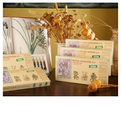 Santiveri Sa Equis Arv Comp...