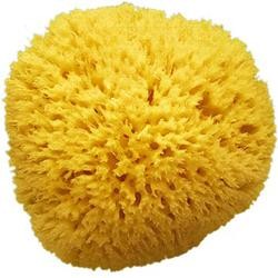 Spugnificio Bellini Egidio...