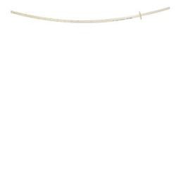 Teleflex Medical Sonda Per...