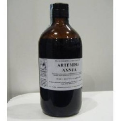 ARTEMISIA ANNUA 500ML GTT