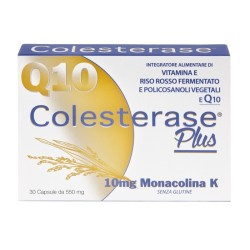 Wp Corporate Colesterase...