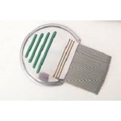 Candioli Ist. Profil. E...