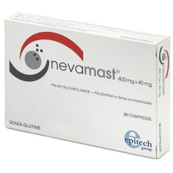 Epitech Group Nevamast...