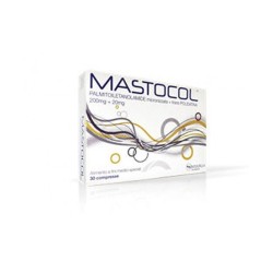 Epitech Group Mastocol...