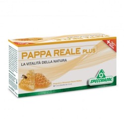 Specchiasol Pappa Reale...