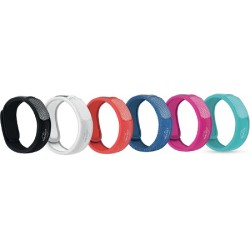 PARAKITO EFAS BRACC COLOR PLUS