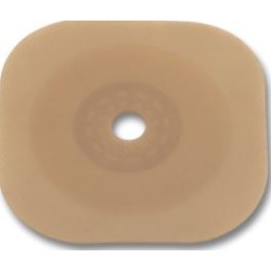 Hollister Conform 2 Placca...