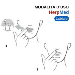 Vectans Pharma Labiriad 2...