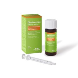 Nbf Lanes Gastrovom Cane...