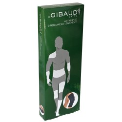 Dual Sanitaly Gibaud Ortho...