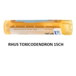 Boiron Rhus Tox Boi 15ch Gr 4g