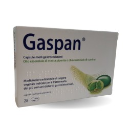 Schwabe Pharma Gaspan 28...