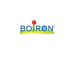 Boiron Arnica 6ch Gr 4g