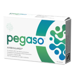 Schwabe Pharma Pegaso Stop...