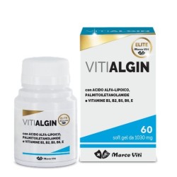VITIALGIN 1030MG 60PRL