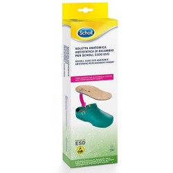 Scholl Clog Evo Anatomic...