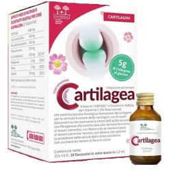 Cartilagea Salugea 18...