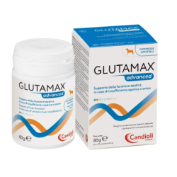 Candioli Glutamax Advanced...